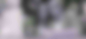 single_full_alt_header_bg