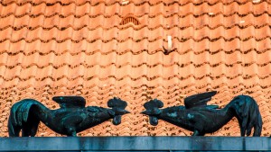 11656229866_ca78f57df8_z