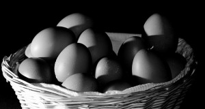 6793086211_b73f0b4ba9_z