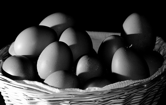 6793086211_b73f0b4ba9_z