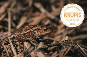 Screenshot 2026-01-07 185102